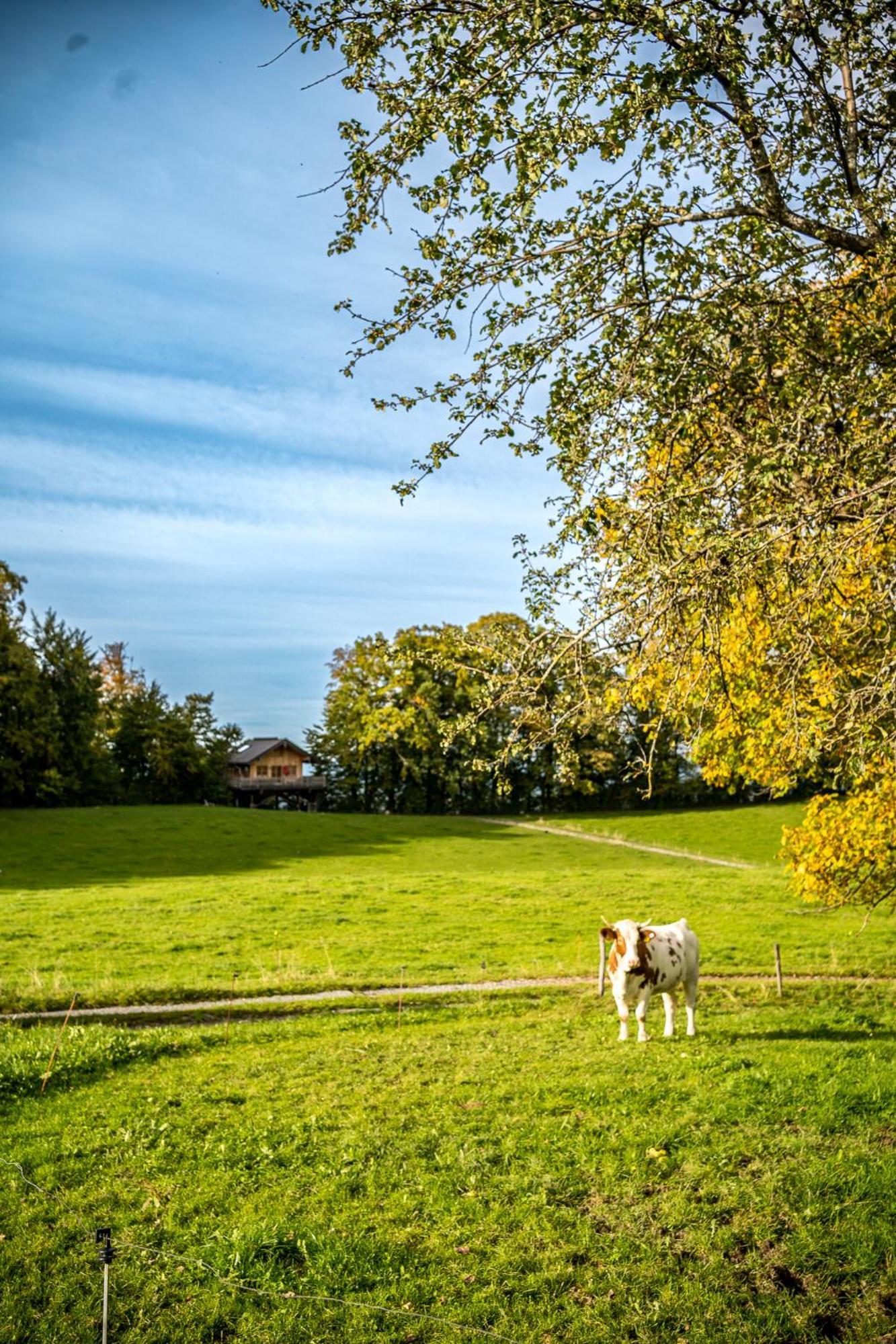 Baumhaus Samerberg Exterior foto